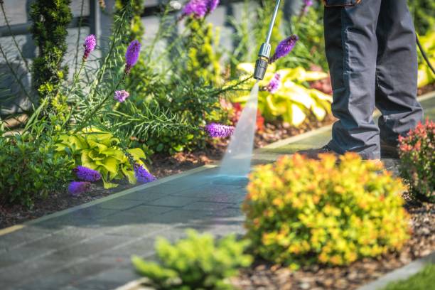 Best Gutter Cleaning  in Sanatoga, PA